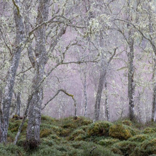  DSC0522 TheArchLoch Beinn A Mheadhain.ARW 0522 Edit